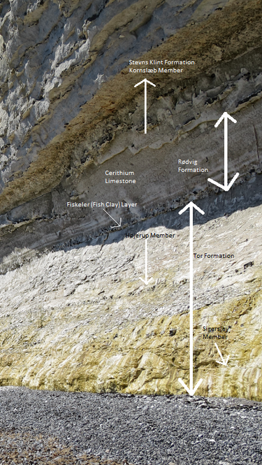  Stevns Klint KT-boundary clay | 17.7 Grams | UNESCO World Heritage | Zealand, Denmark 8