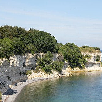  Stevns Klint KT-boundary clay | 17.7 Grams | UNESCO World Heritage | Zealand, Denmark 9