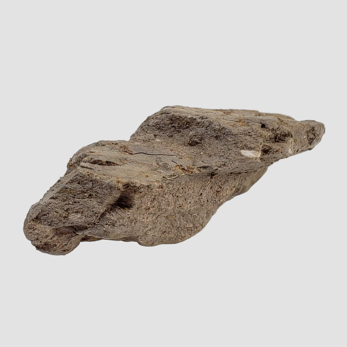  Stevns Klint KT-boundary clay | 17.7 Grams | UNESCO World Heritage | Zealand, Denmark 3