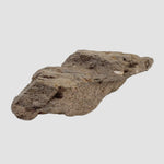  Stevns Klint KT-boundary clay | 17.7 Grams | UNESCO World Heritage | Zealand, Denmark 3