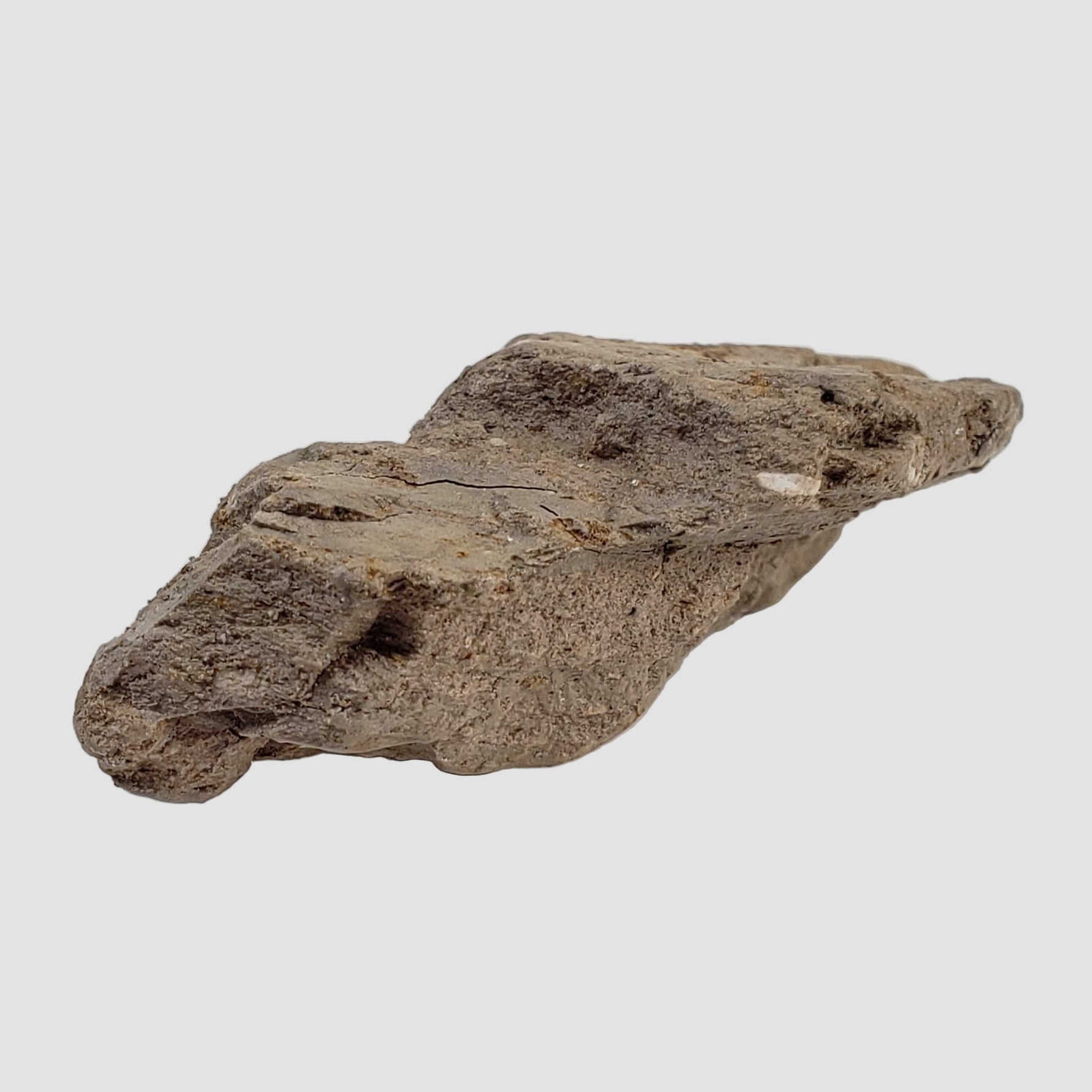  Stevns Klint KT-boundary clay | 17.7 Grams | UNESCO World Heritage | Zealand, Denmark 3