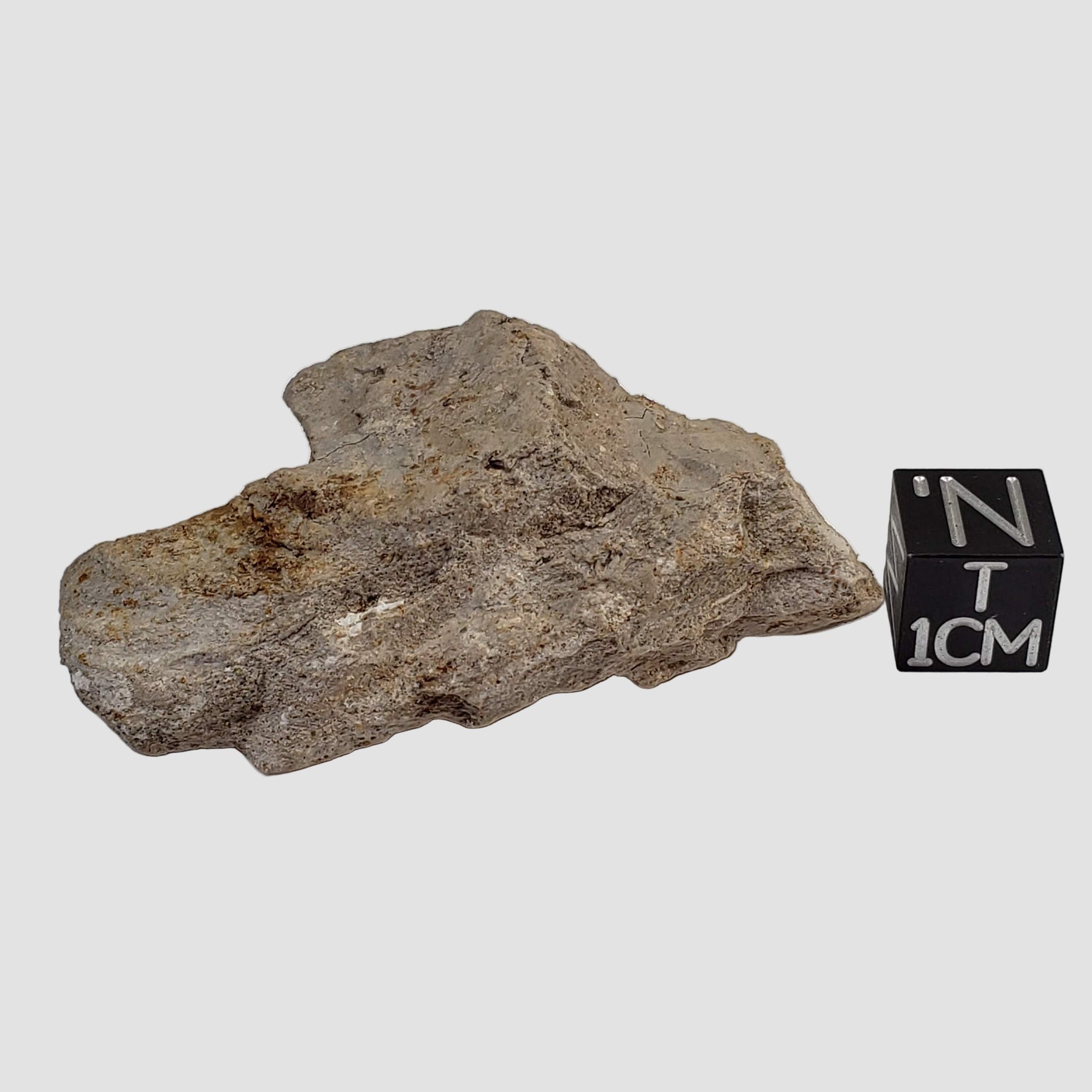  Stevns Klint KT-boundary clay | 17.7 Grams | UNESCO World Heritage | Zealand, Denmark 