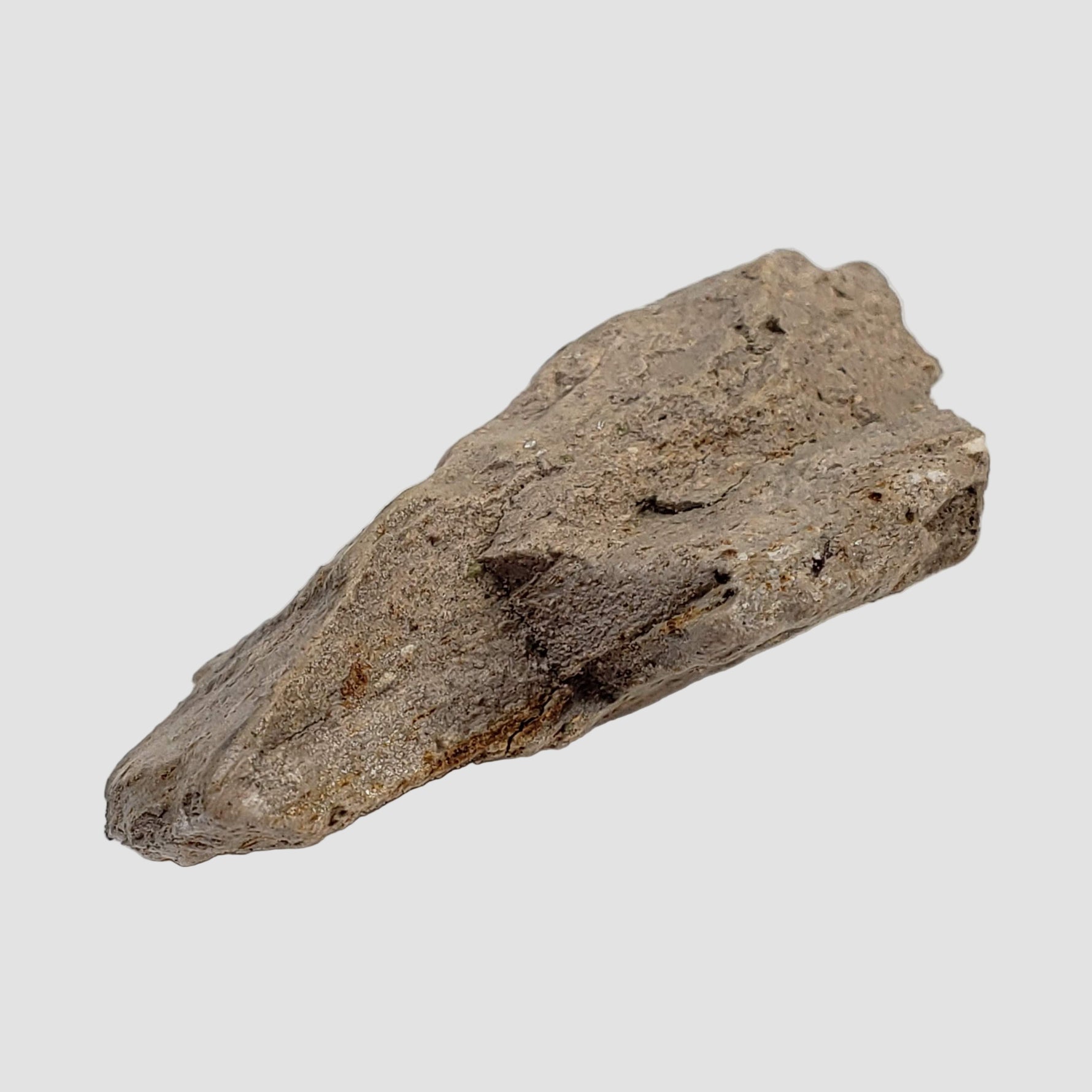  Stevns Klint KT-boundary clay | 17.7 Grams | UNESCO World Heritage | Zealand, Denmark 2