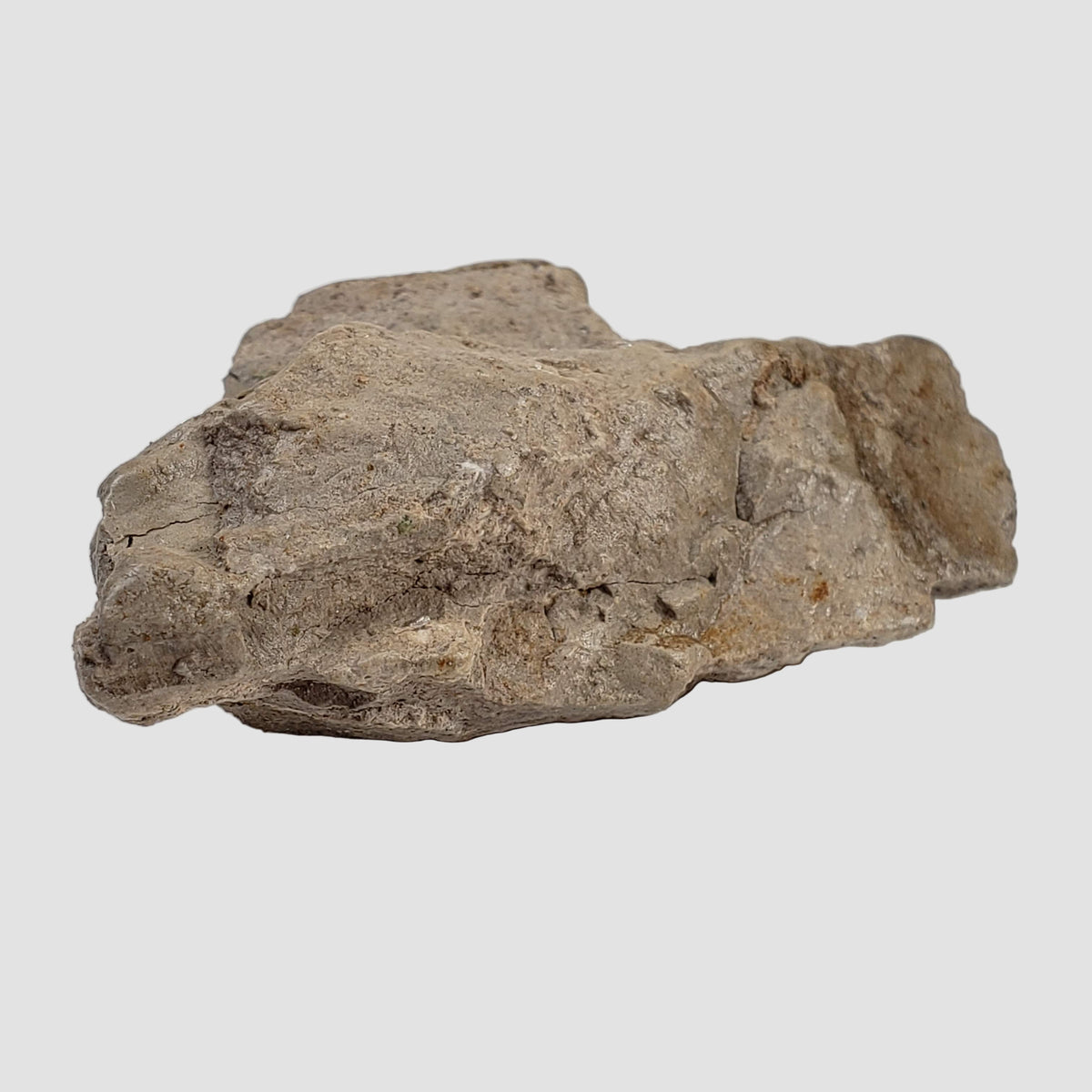  Stevns Klint KT-boundary clay | 17.7 Grams | UNESCO World Heritage | Zealand, Denmark 4