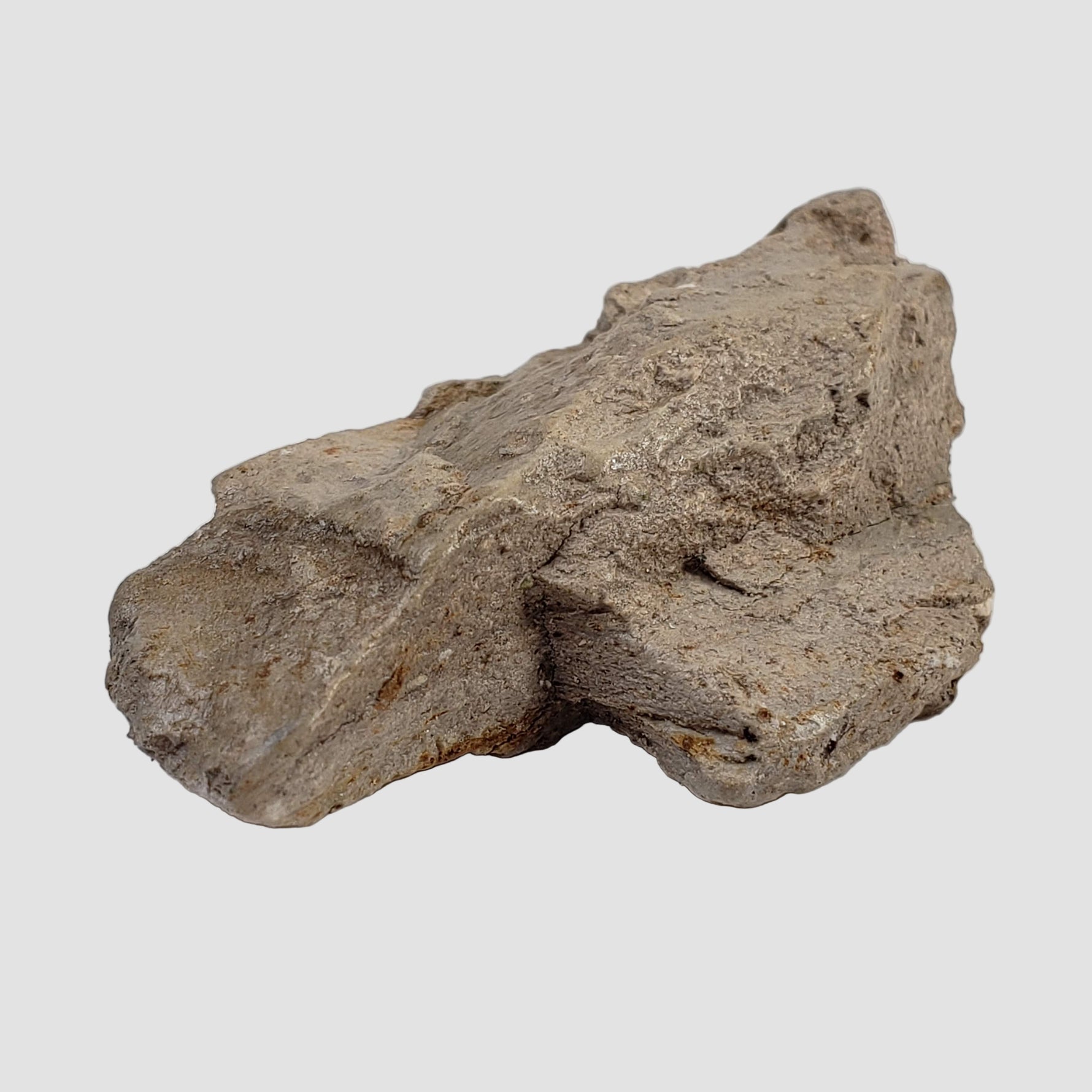  Stevns Klint KT-boundary clay | 17.7 Grams | UNESCO World Heritage | Zealand, Denmark 7