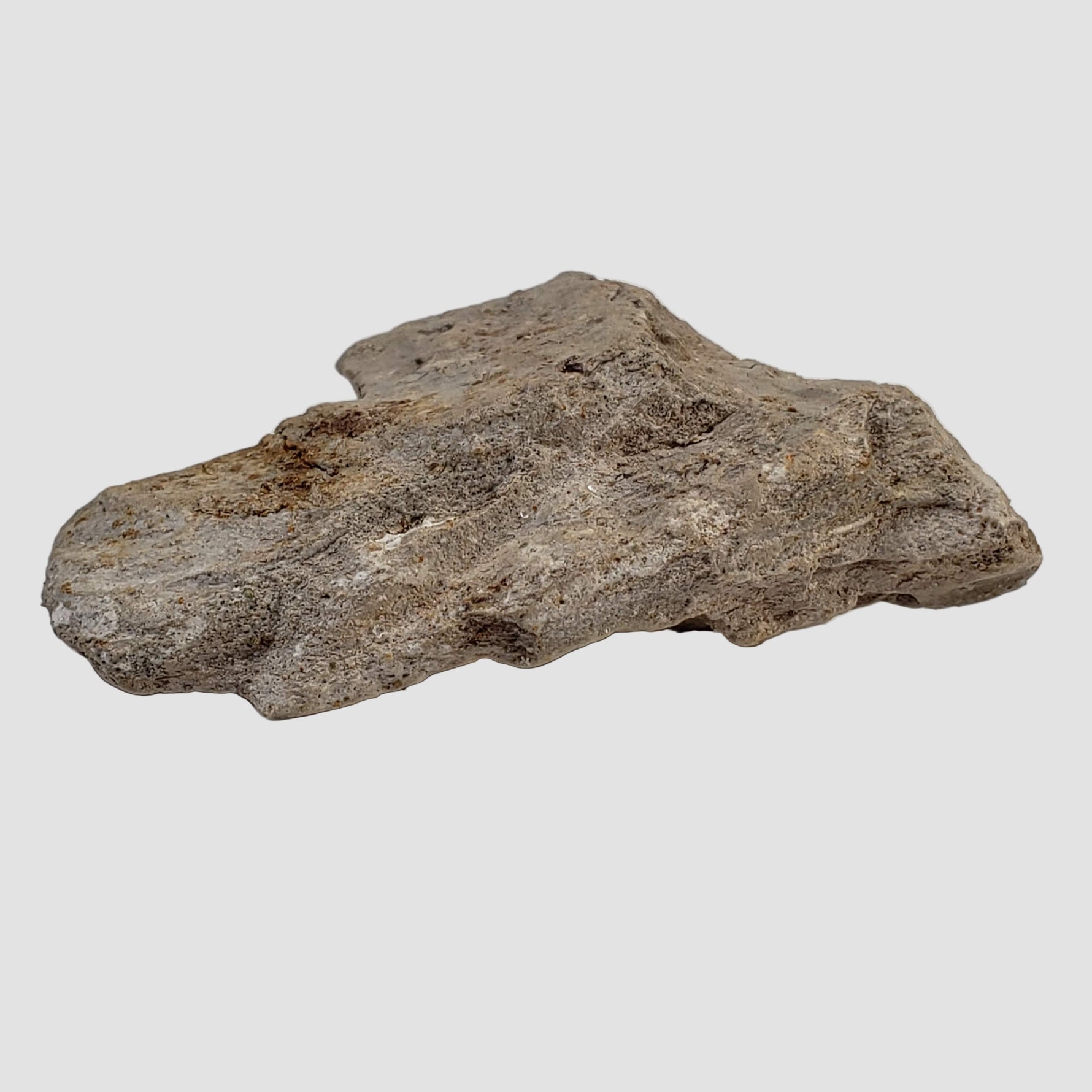  Stevns Klint KT-boundary clay | 17.7 Grams | UNESCO World Heritage | Zealand, Denmark 5