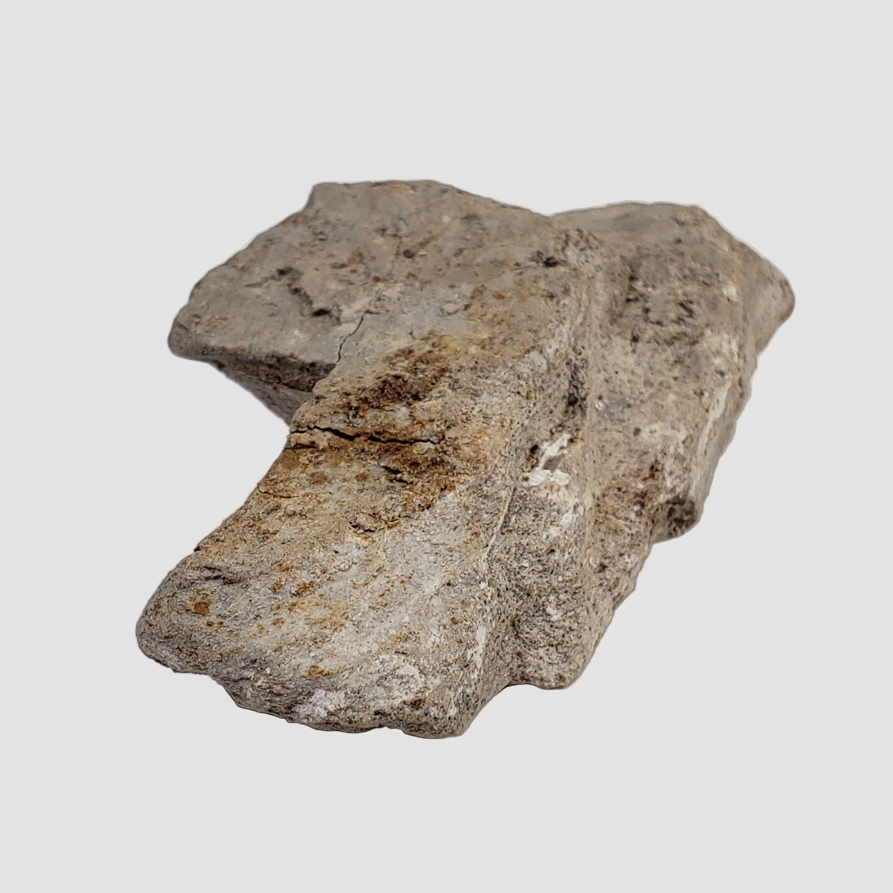  Stevns Klint KT-boundary clay | 17.7 Grams | UNESCO World Heritage | Zealand, Denmark 6