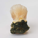  Stilbite Crystal | 51 gr | Jalgaon, India 5