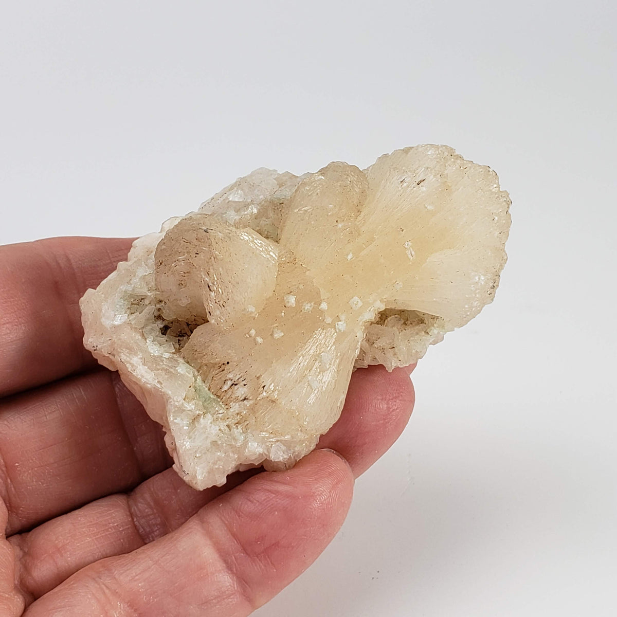 Stilbite Crystal | 73 grams | Jalgaon, India 7