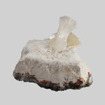  Stilbite Crystal on Matrix | 18 grams | India 3