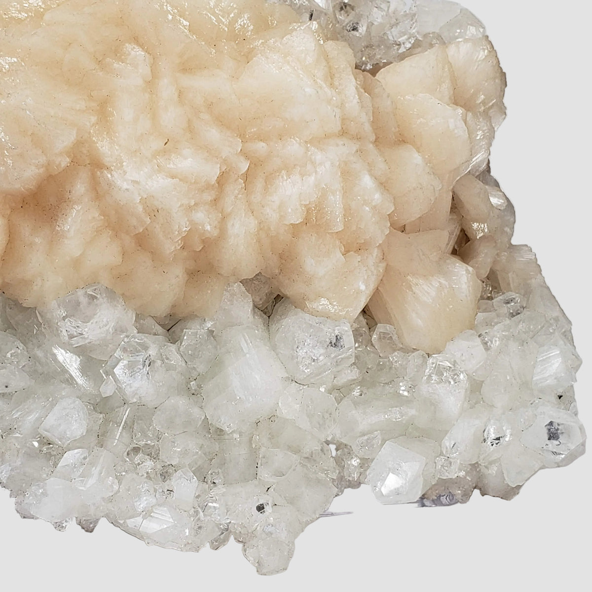  Stilbite Flower on Apophyllite Crystal Bed | 3.73 KG | Jalgaon, India 5
