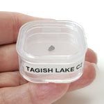  Tagish Lake Meteorite | 20 mg | Fragment | C2-ung Class | Observed Fall 2000 Canada | SO24 