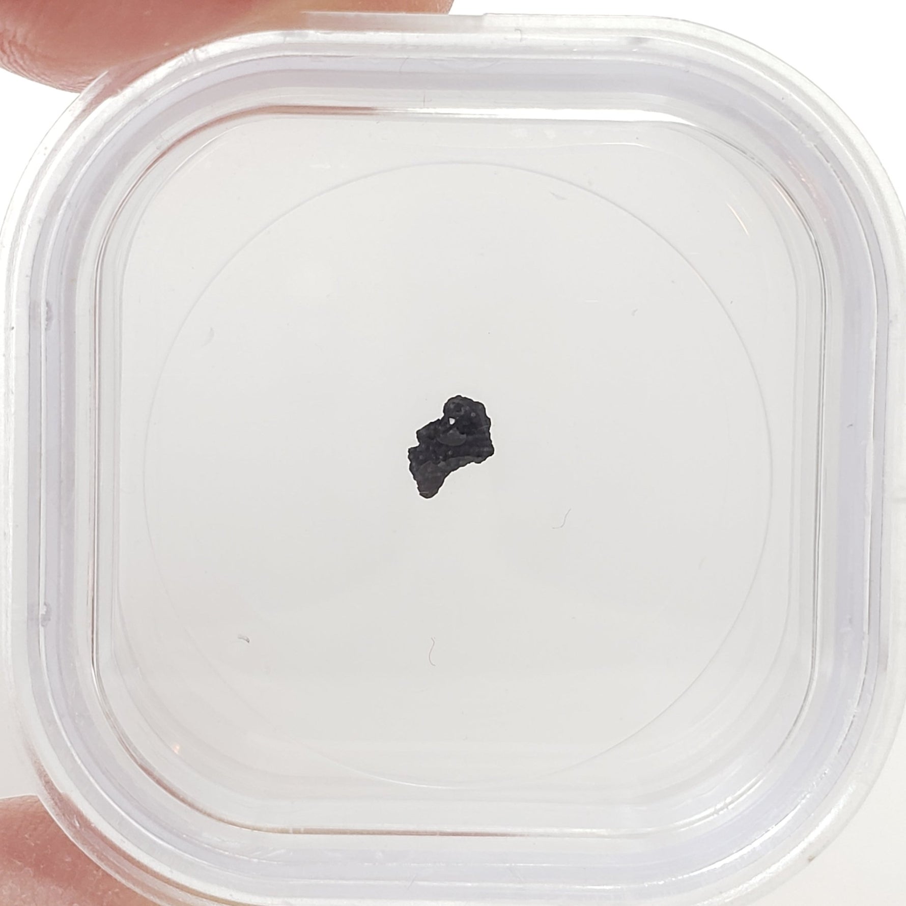  Tagish Lake Meteorite | 20 mg | Fragment | C2-ung Class | Observed Fall 2000 Canada | SO24 1