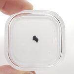  Tagish Lake Meteorite | 20 mg | Fragment | C2-ung Class | Observed Fall 2000 Canada | SO24 2