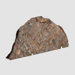Tagounite 018 Meteorite | 2.72 grams | Part Slice with crust | L4 Chondrite | Low TKW | Morocco 2