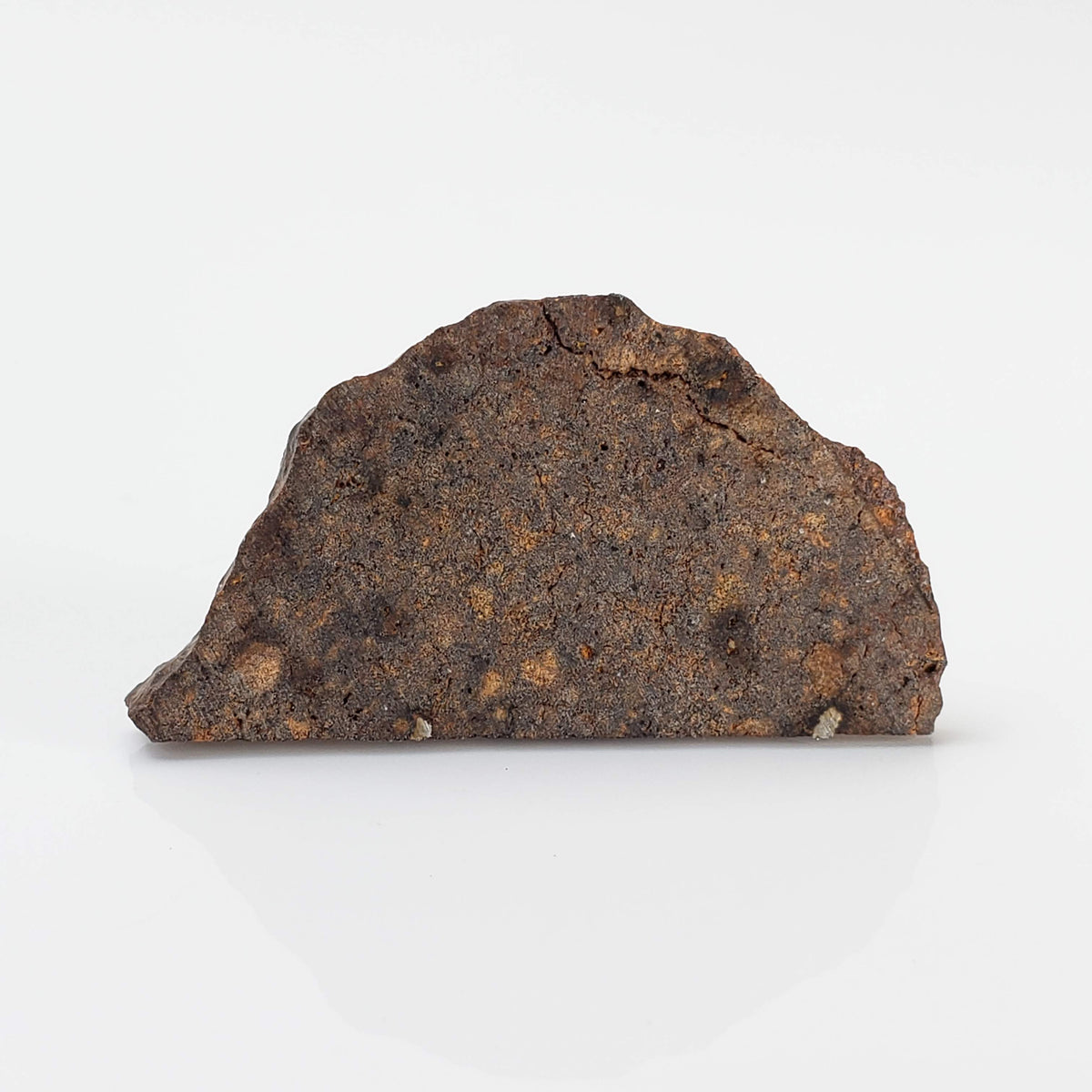 Tagounite 018 Meteorite | 2.72 grams | Part Slice with crust | L4 Chondrite | Low TKW | Morocco 3