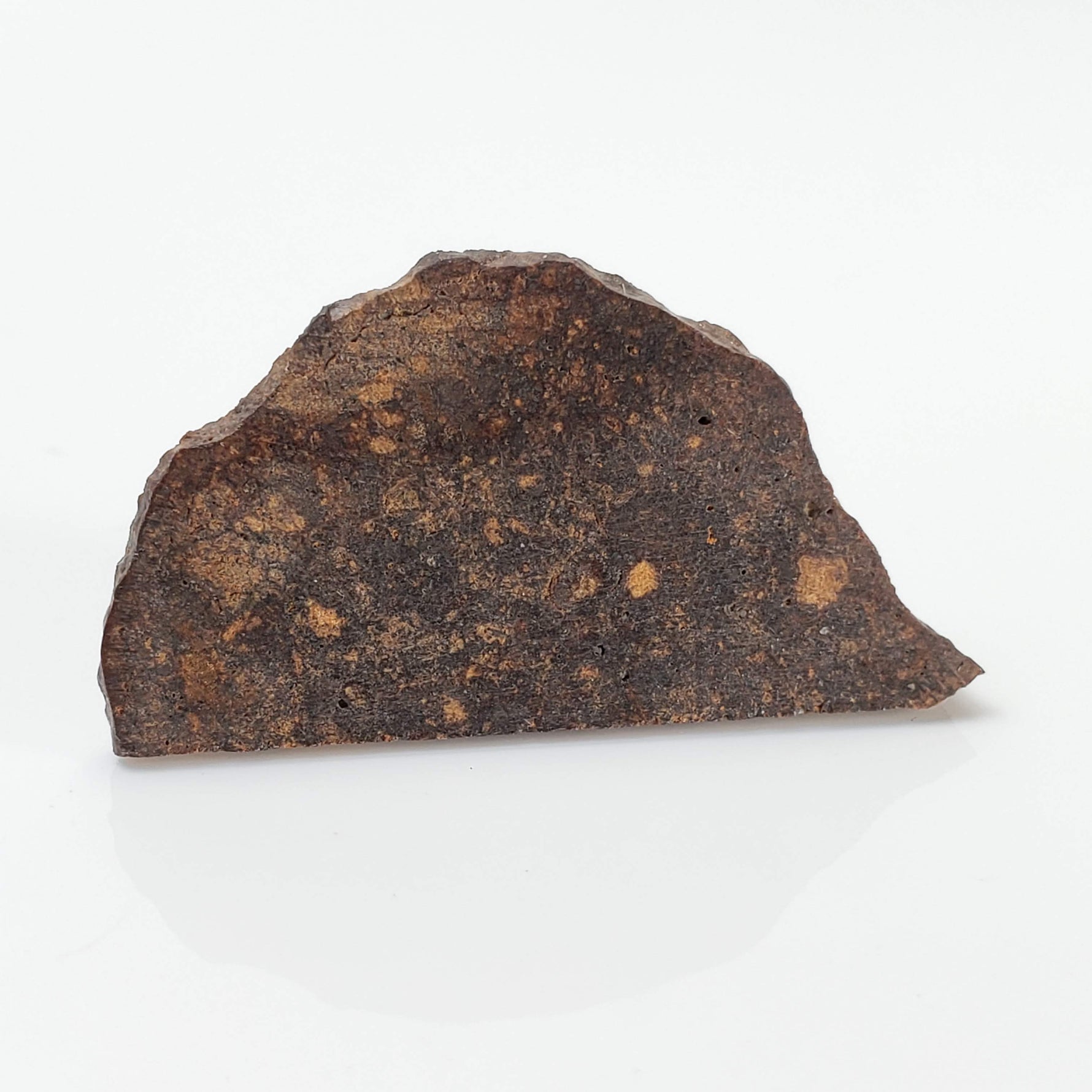Tagounite 018 Meteorite | 2.72 grams | Part Slice with crust | L4 Chondrite | Low TKW | Morocco 4