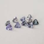  Tanzanite | 10 Piece Gemstone Lot | Trilliant Cut | 1.7tcw 