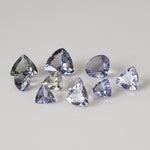 Tanzanite | 10 Piece Gemstone Lot | Trilliant Cut | 2.6tcw 1