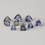  Tanzanite | 10 Piece Gemstone Lot | Trilliant Cut | 2.6tcw 