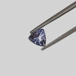  Tanzanite | Trilliant Cut | 5.8mm 0.6ct 