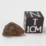  Taza NWA 859 Meteorite | 0.97 Gr | Iron Ungrouped | Morocco 