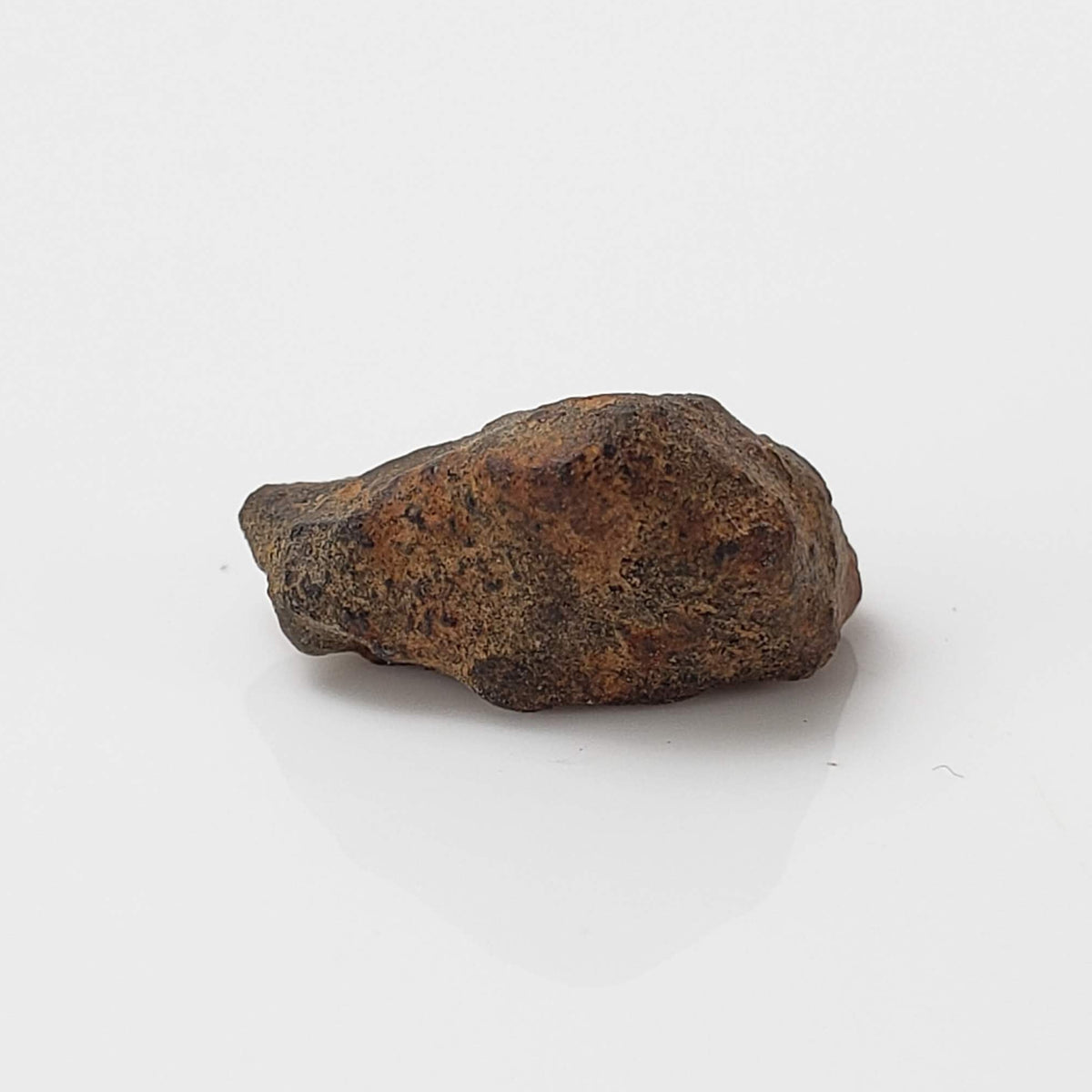  Taza NWA 859 Meteorite | 0.97 Gr | Iron Ungrouped | Morocco 1