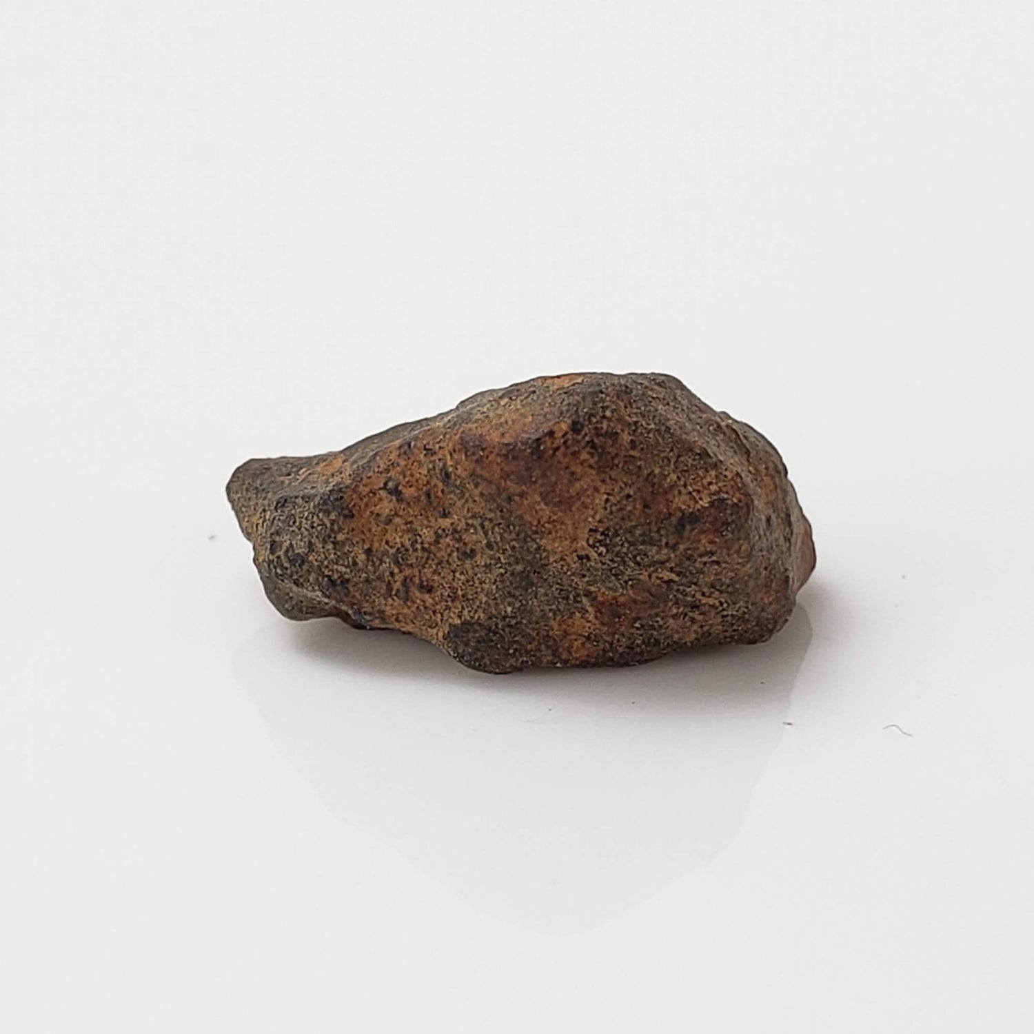  Taza NWA 859 Meteorite | 0.97 Gr | Iron Ungrouped | Morocco 1