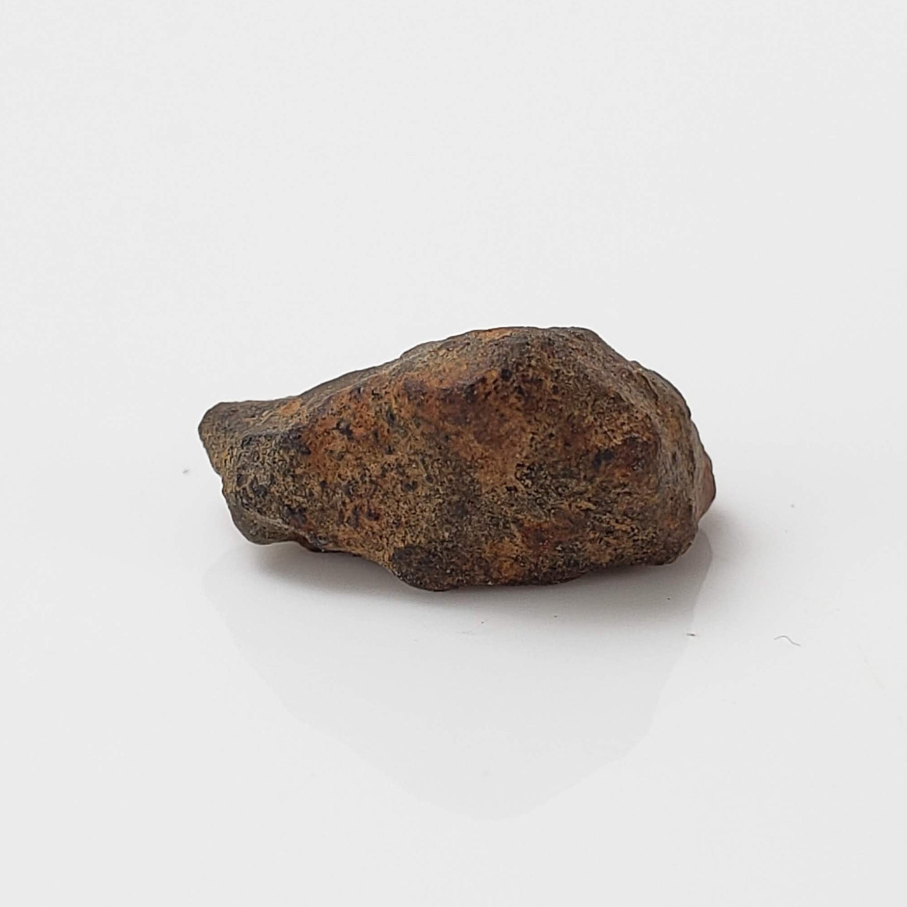 Taza NWA 859 Meteorite | 0.97 Gr | Iron Ungrouped | Morocco 1