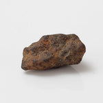  Taza NWA 859 Meteorite | 0.97 Gr | Iron Ungrouped | Morocco 2