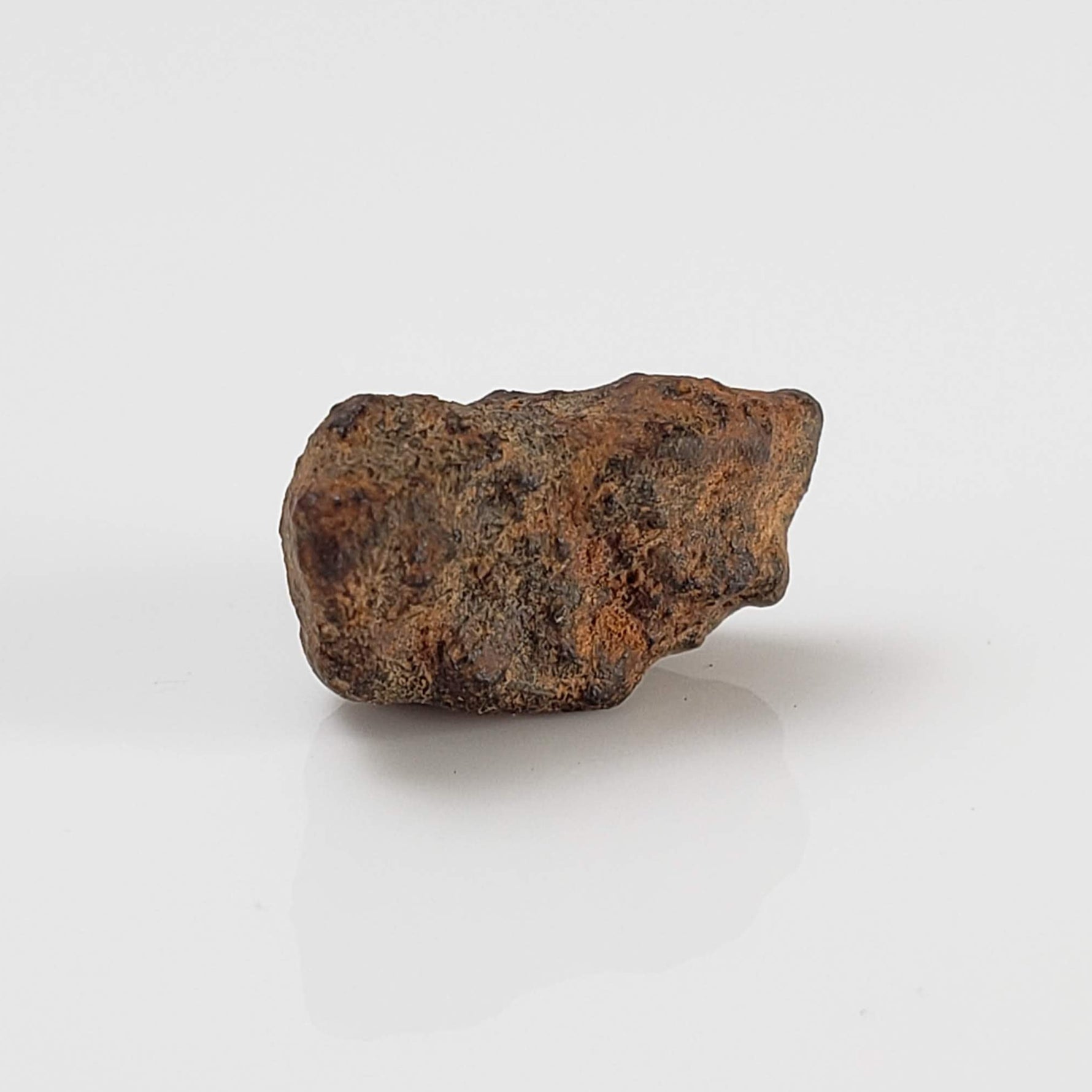  Taza NWA 859 Meteorite | 0.97 Gr | Iron Ungrouped | Morocco 3