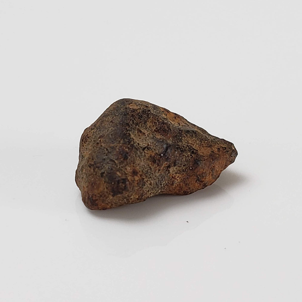  Taza NWA 859 Meteorite | 0.97 Gr | Iron Ungrouped | Morocco 4
