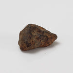  Taza NWA 859 Meteorite | 0.97 Gr | Iron Ungrouped | Morocco 4
