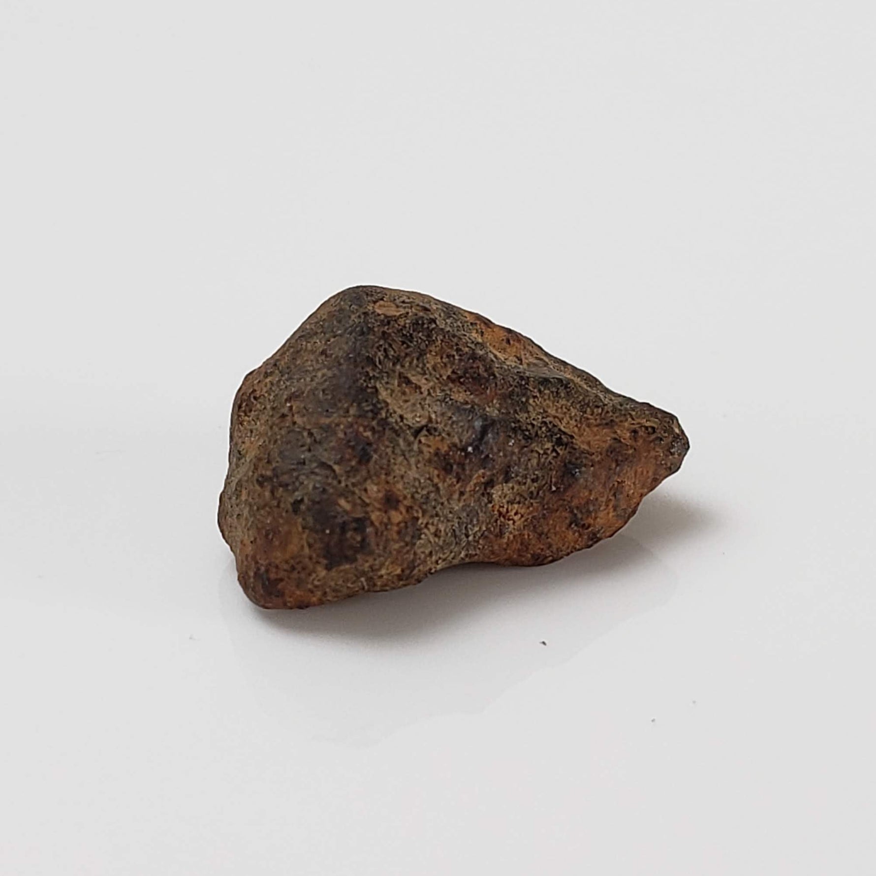  Taza NWA 859 Meteorite | 0.97 Gr | Iron Ungrouped | Morocco 4