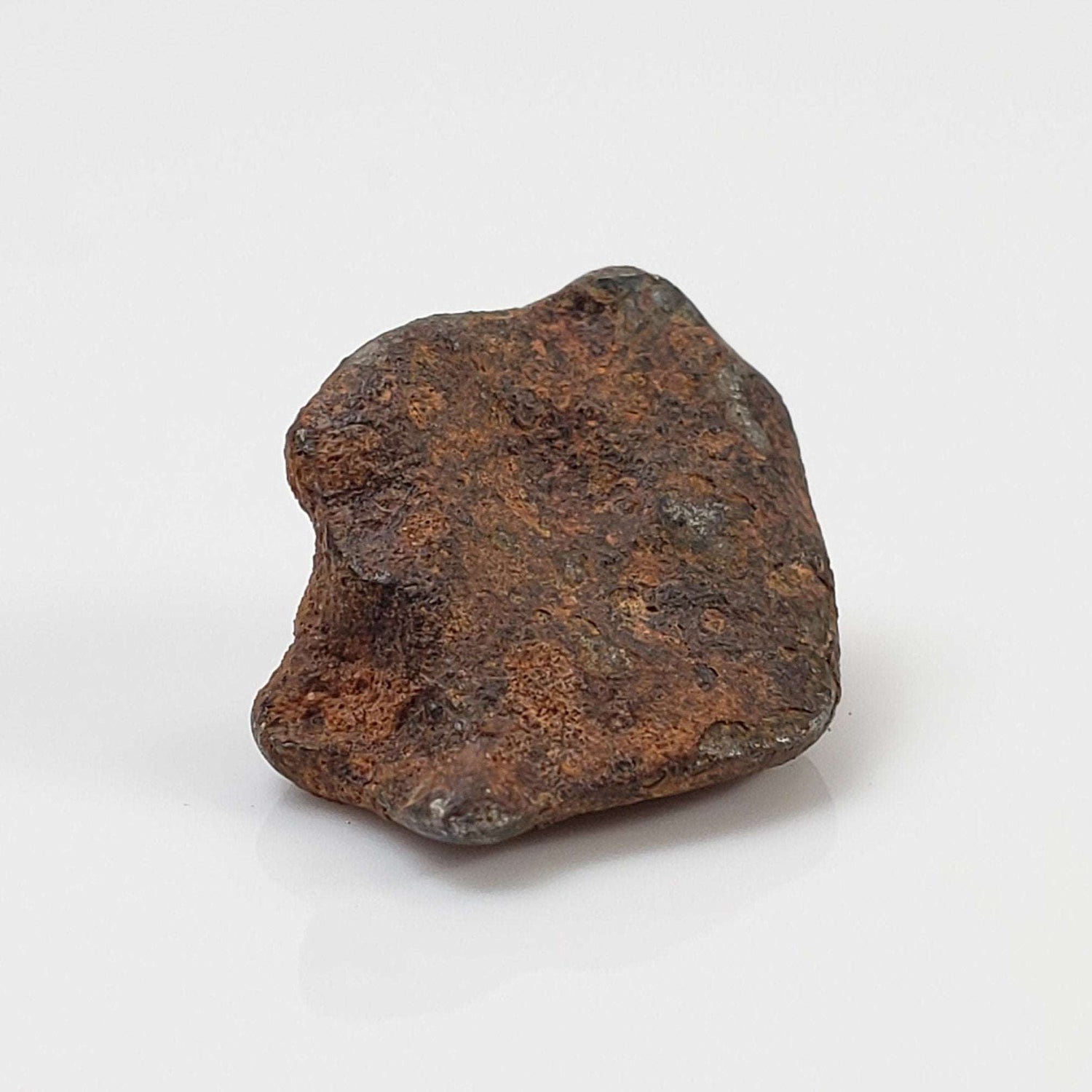  Taza NWA 859 Meteorite | 2.8 Gr | Iron Ungrouped | Morocco 1