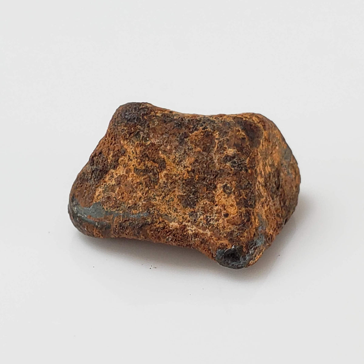  Taza NWA 859 Meteorite | 3.4 Gr | Iron Ungrouped | Morocco 3