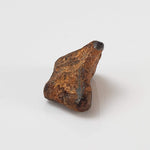  Taza NWA 859 Meteorite | 3.4 Gr | Iron Ungrouped | Morocco 4