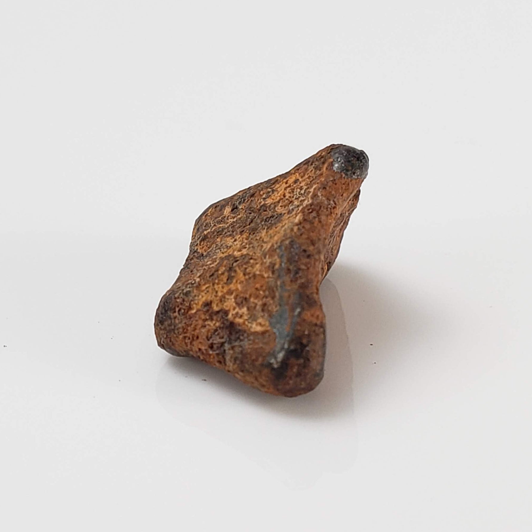  Taza NWA 859 Meteorite | 3.4 Gr | Iron Ungrouped | Morocco 4