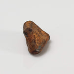  Taza NWA 859 Meteorite | 3.4 Gr | Iron Ungrouped | Morocco 5