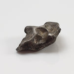  Taza NWA 859 Meteorite | 3.84 Gr | Regmaglypts | Iron Ungrouped | Morocco 2