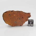  Terny Astrobleme Impactite | 16.88 Grams | Slice | Cherkasy Region | Ukraine 