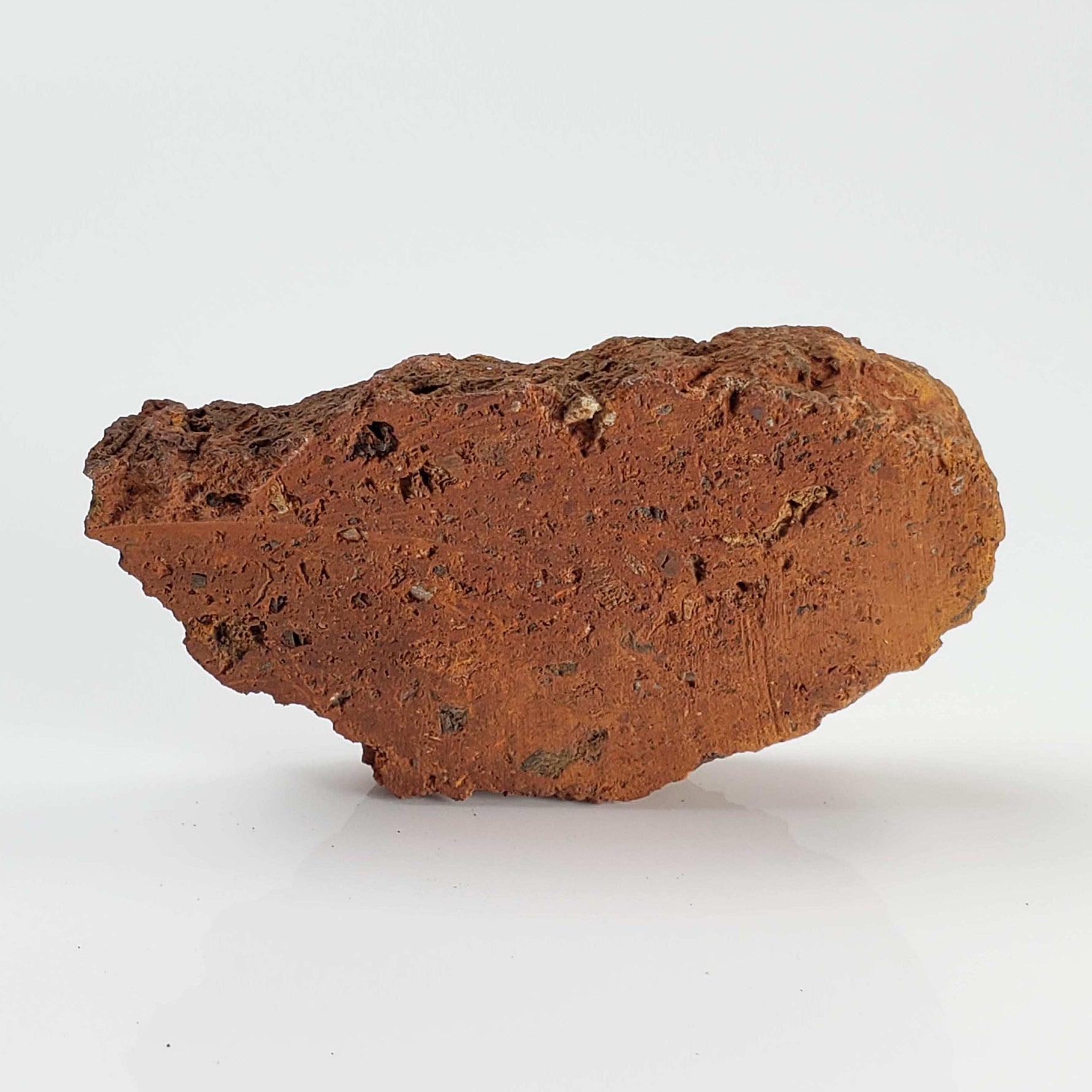  Terny Astrobleme Impactite | 16.88 Grams | Slice | Cherkasy Region | Ukraine 1