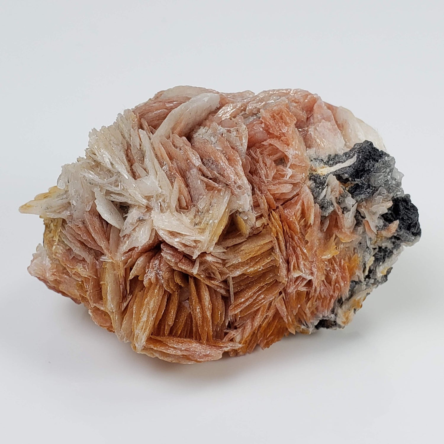  Three Color Barite Blades on Cerussite | 96.8 grams | Morocco 