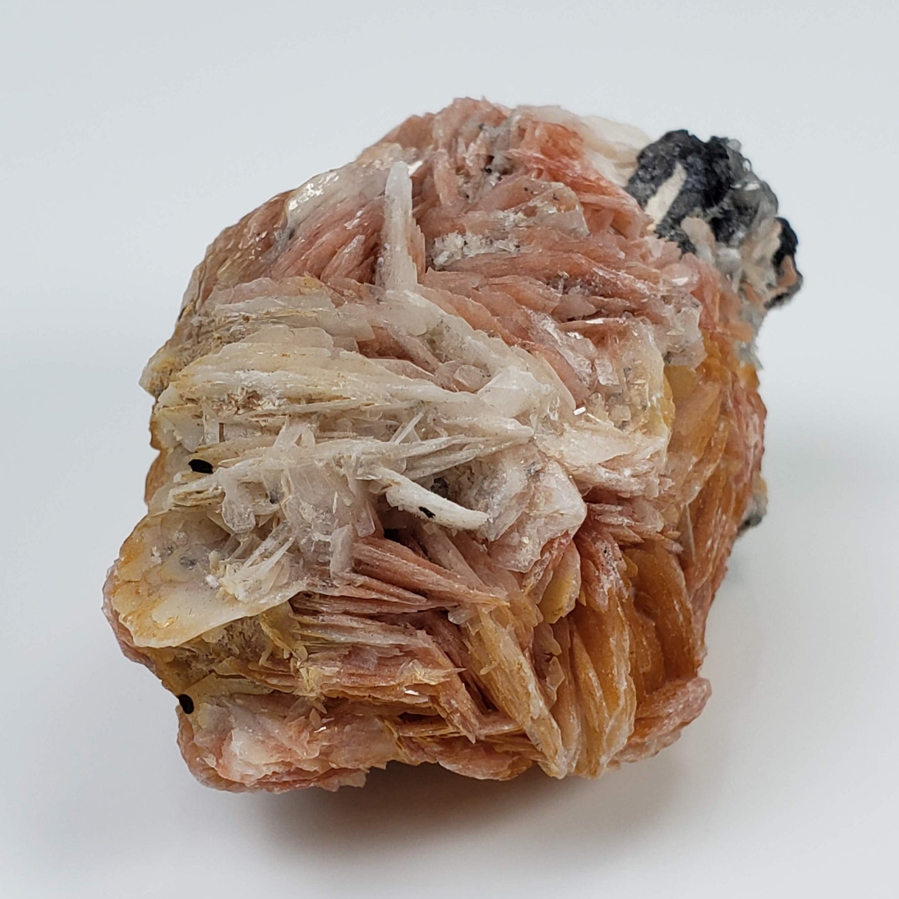 Three Color Barite Blades on Cerussite | 96.8 grams | Morocco 4