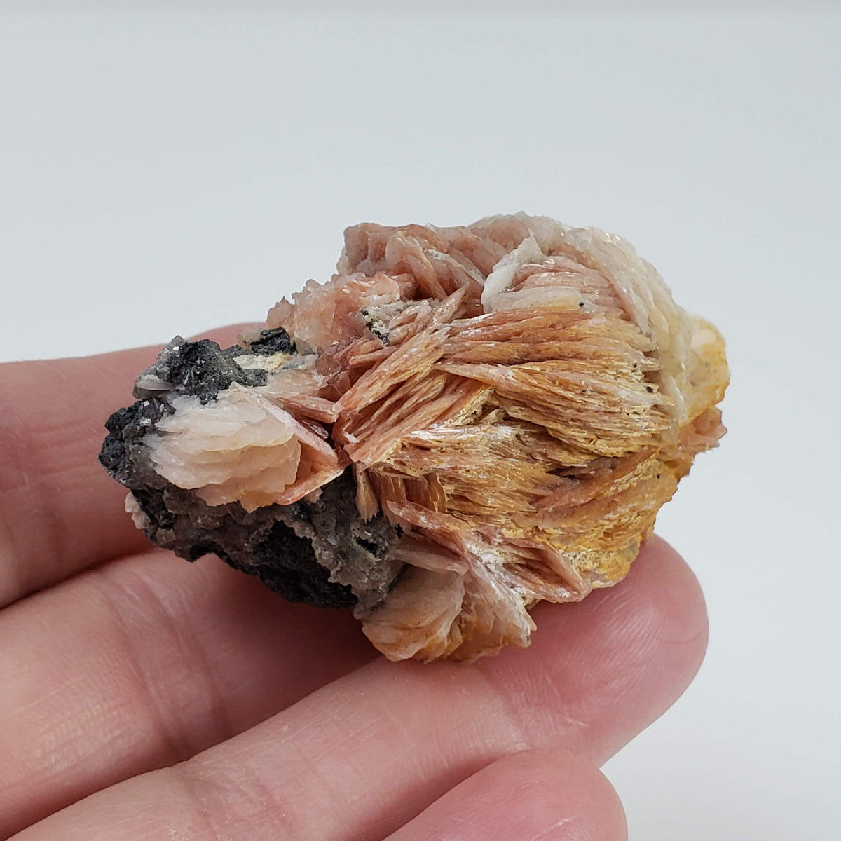  Three Color Barite Blades on Cerussite | 96.8 grams | Morocco 5