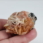  Three Color Barite Blades on Cerussite | 96.8 grams | Morocco 6