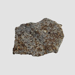  Thuathe Meteorite | 2.658 gr | Fresh Part Slice | H4-5 Chondrite | Observed Fall | Lesotho 2