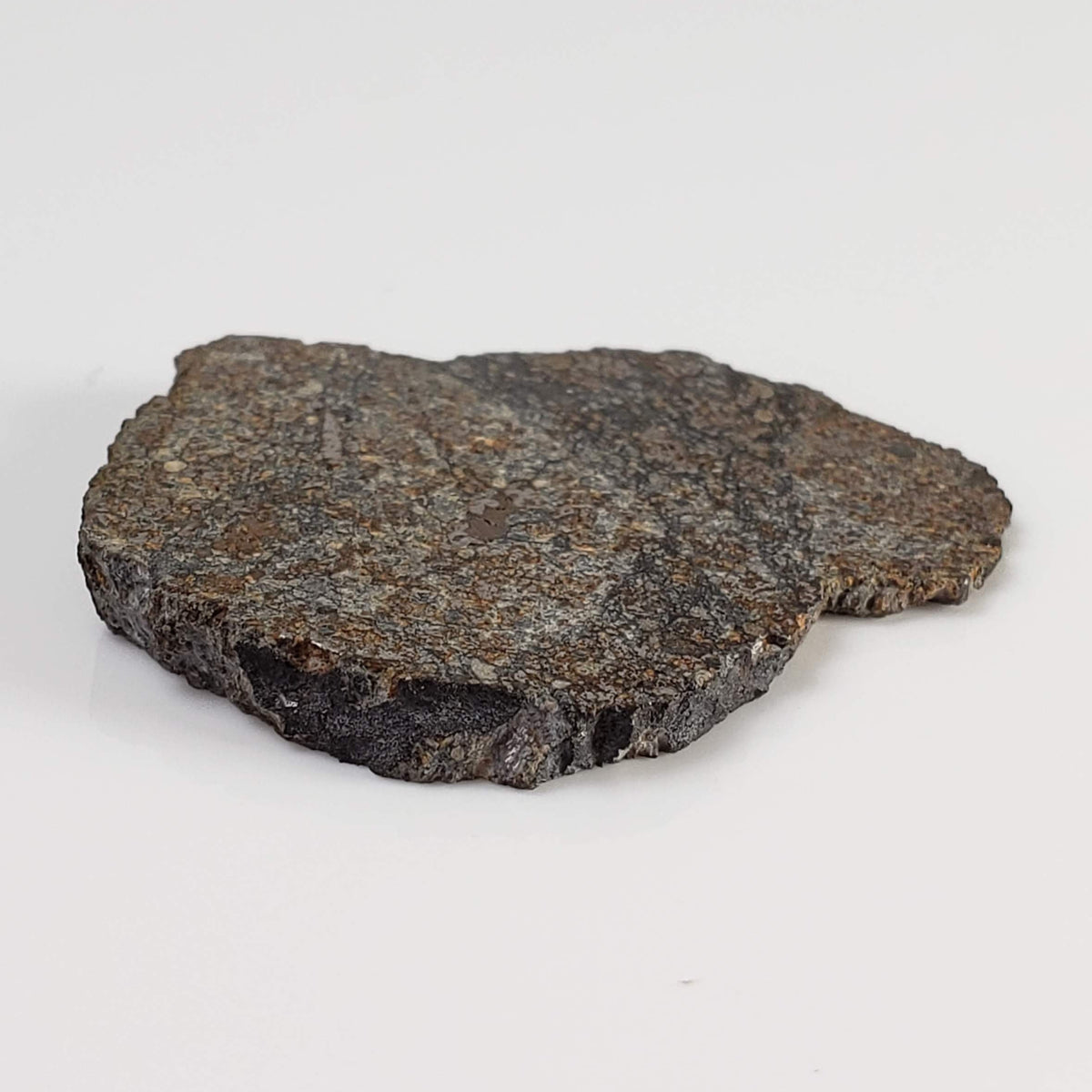  Thuathe Meteorite | 8.29 gr | Full Slice | H4-5 Chondrite | Observed Fall | Lesotho 5