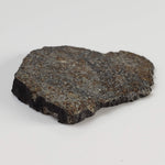  Thuathe Meteorite | 8.29 gr | Full Slice | H4-5 Chondrite | Observed Fall | Lesotho 6