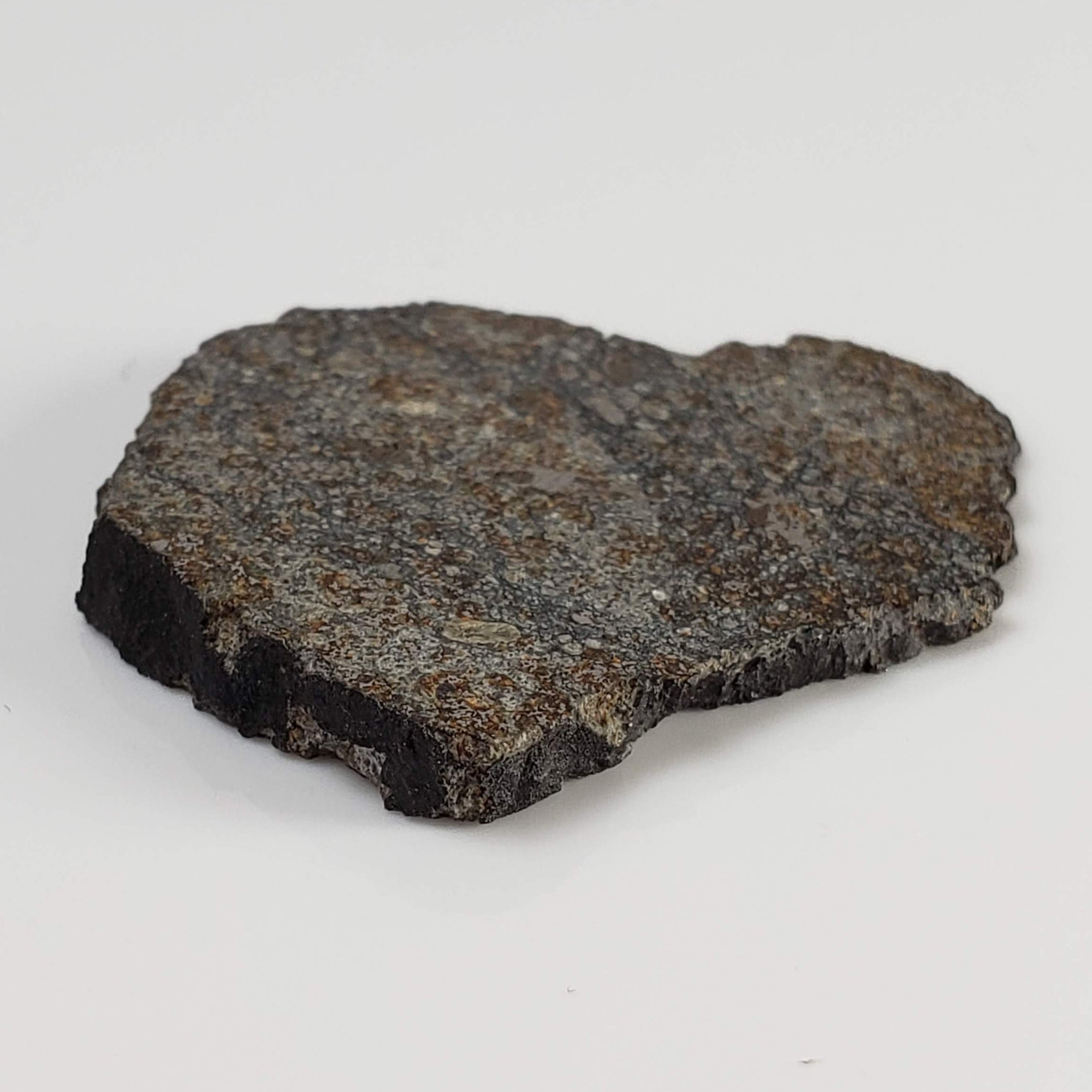  Thuathe Meteorite | 8.29 gr | Full Slice | H4-5 Chondrite | Observed Fall | Lesotho 6